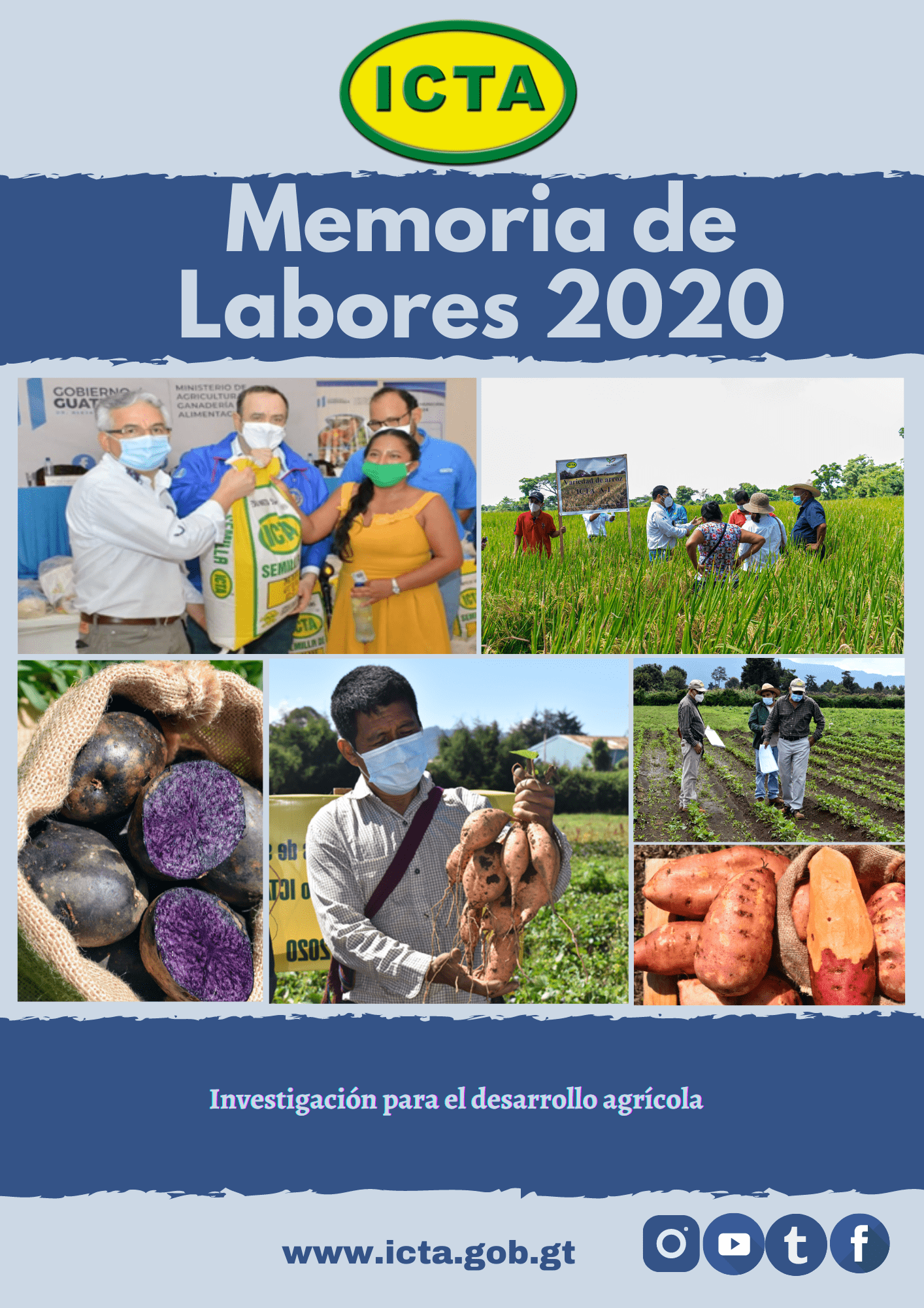 Memoria de Labores ICTA 2020